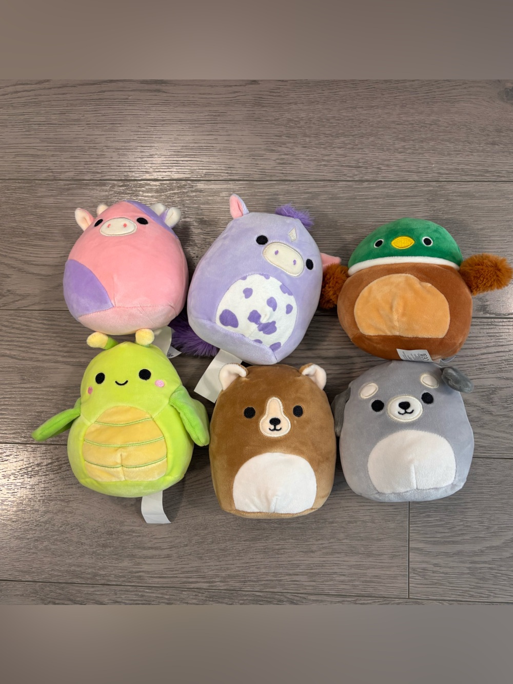 Squishmallows 5” Costco Set *NO PAPER TAGS*